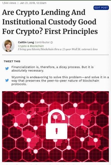 blurb of a published blockchain article by Caitlin