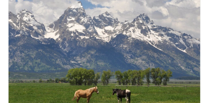 screenshot of a tweet about cryptocurrency in Wyoming